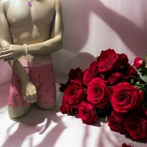 American Eagle Pink Boxer Briefs with Heart Design